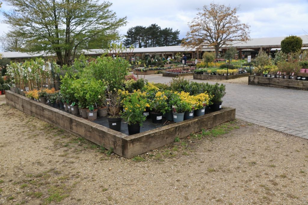Afhankelijk van het weer: hoe tuincentra en bouwmarkten met seizoenen omgaan
