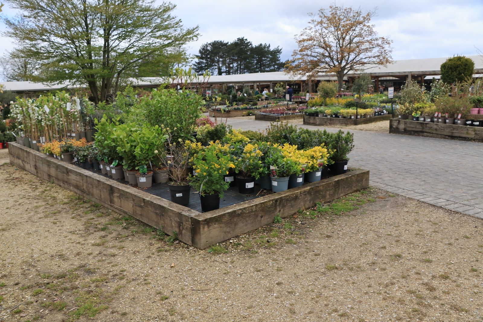 Afhankelijk van het weer: hoe tuincentra en bouwmarkten met seizoenen omgaan